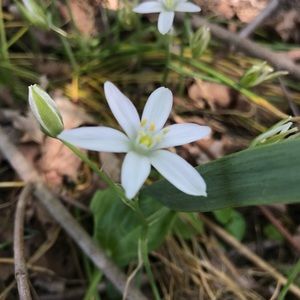 Meet your Posher, Autumn